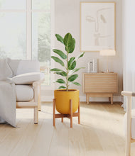 Load image into Gallery viewer, Sunset Orange stand:bamboo
