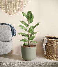 Load image into Gallery viewer, Sage Green
