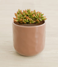 Load image into Gallery viewer, Hammered Peach Pink stand:all
