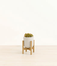Load image into Gallery viewer, Natural Bamboo stand:bamboo
