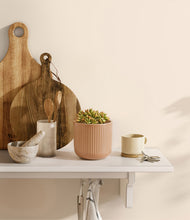 Load image into Gallery viewer, Striped Peach Pink
