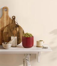Load image into Gallery viewer, Striped Cherry Red
