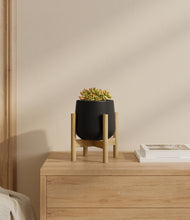 Load image into Gallery viewer, Black stand:bamboo
