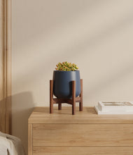 Load image into Gallery viewer, Deep Navy stand:walnut
