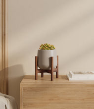 Load image into Gallery viewer, Eternal Gray stand:walnut
