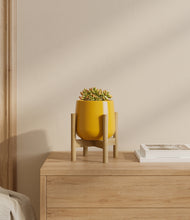 Load image into Gallery viewer, Mustard stand:bamboo
