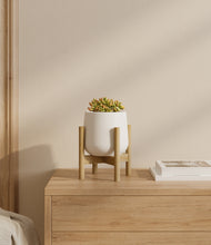 Load image into Gallery viewer, White stand:bamboo
