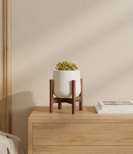 Load image into Gallery viewer, White stand:walnut
