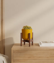 Load image into Gallery viewer, Sunset Orange stand:walnut
