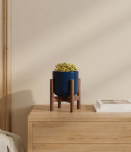 Load image into Gallery viewer, Twilight Blue stand:walnut
