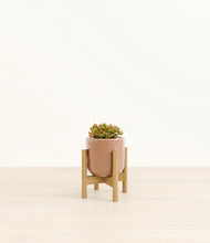Load image into Gallery viewer, Hammered Peach Pink stand:bamboo
