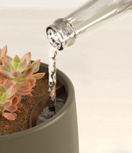 Load image into Gallery viewer, Olive stand:all
