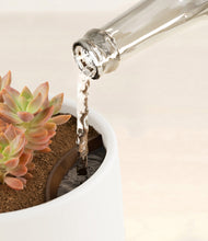 Load image into Gallery viewer, White stand:all
