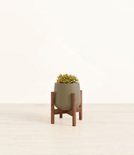 Load image into Gallery viewer, Olive stand:walnut
