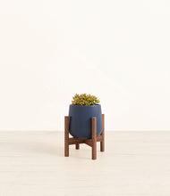 Load image into Gallery viewer, Deep Navy stand:walnut
