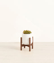 Load image into Gallery viewer, White stand:walnut
