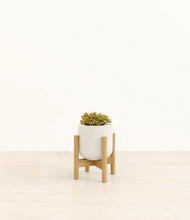 Load image into Gallery viewer, Cotton White stand:bamboo
