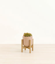 Load image into Gallery viewer, Glossy Pink stand:bamboo
