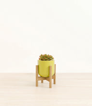 Load image into Gallery viewer, Key Lime Yellow stand:bamboo
