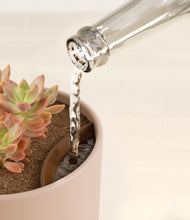 Load image into Gallery viewer, Sandy Pink stand:all
