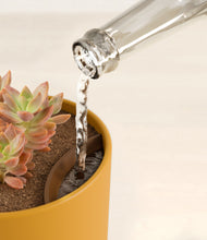 Load image into Gallery viewer, Sunset Orange stand:all
