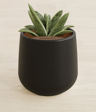 Load image into Gallery viewer, Black stand:all
