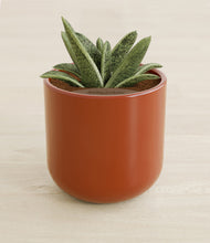 Load image into Gallery viewer, Glossy Red stand:all
