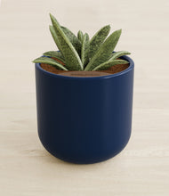 Load image into Gallery viewer, Twilight Blue stand:all
