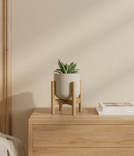 Load image into Gallery viewer, Cotton White stand:bamboo
