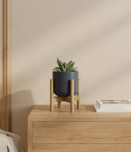 Load image into Gallery viewer, Iron Gray stand:bamboo
