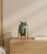 Load image into Gallery viewer, Reactive Aqua stand:bamboo
