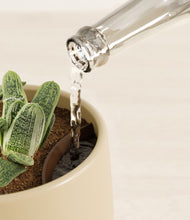 Load image into Gallery viewer, Almond Green stand:all
