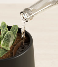 Load image into Gallery viewer, Black stand:all
