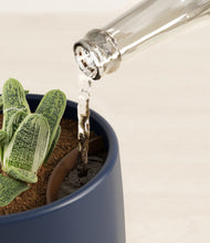 Load image into Gallery viewer, Deep Navy stand:all
