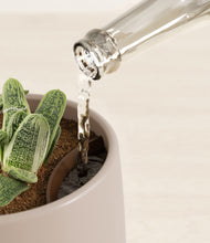 Load image into Gallery viewer, Eternal Gray stand:all
