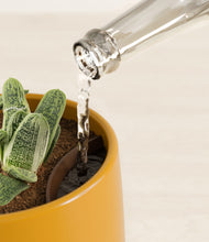 Load image into Gallery viewer, Mustard stand:all
