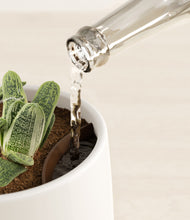 Load image into Gallery viewer, White stand:all
