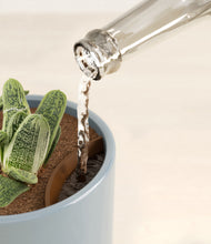 Load image into Gallery viewer, Misty Blue stand:all
