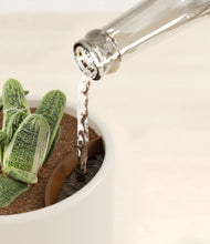 Load image into Gallery viewer, Cotton White stand:all
