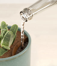 Load image into Gallery viewer, Reactive Aqua stand:all
