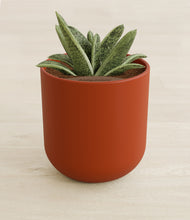 Load image into Gallery viewer, Earth Red stand:all
