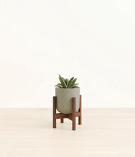 Load image into Gallery viewer, Sage Green stand:walnut
