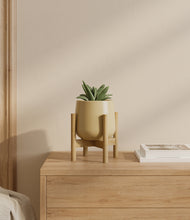 Load image into Gallery viewer, Almond Green stand:bamboo
