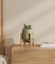 Load image into Gallery viewer, Turquoise stand:bamboo
