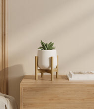 Load image into Gallery viewer, White stand:bamboo
