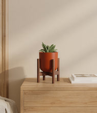 Load image into Gallery viewer, Earth Red stand:walnut
