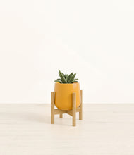 Load image into Gallery viewer, Mustard stand:bamboo
