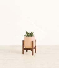 Load image into Gallery viewer, Gentle Pink stand:walnut

