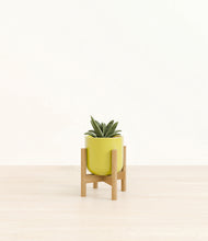 Load image into Gallery viewer, Key Lime Yellow stand:bamboo
