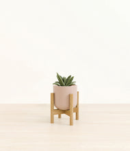 Load image into Gallery viewer, Sandy Pink stand:bamboo
